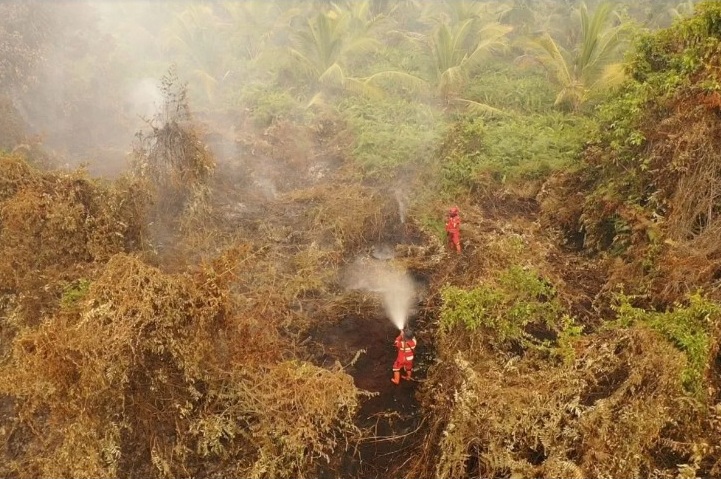 60 hektare Karhutla Pelalawan, Tim Manggala Agni Pacu Pemadaman
