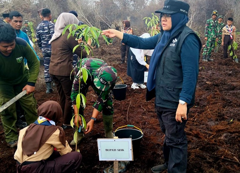 Penghijauan dan Menghindari Alih Fungsi Hutan, Pemkab Siak Tanam Pohon di Lahan Bekas Karhutla.